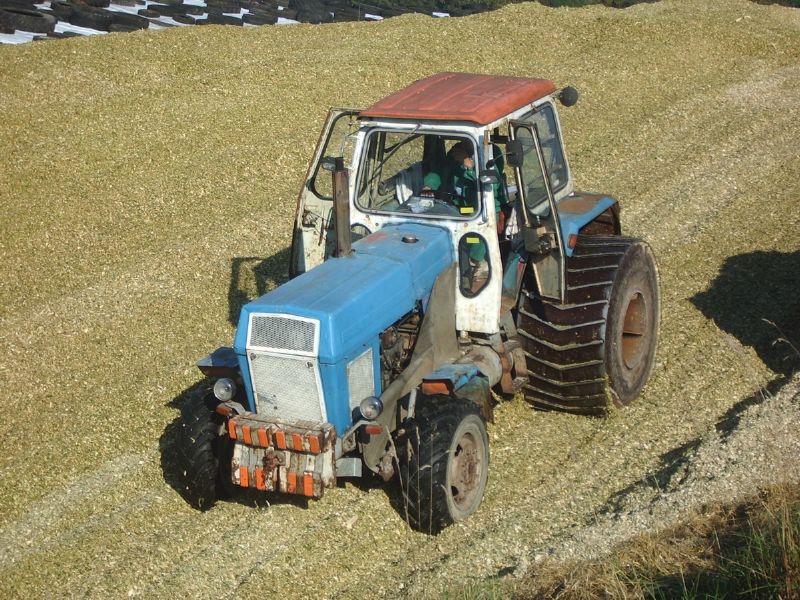 bilder/Fabian/13_10_2005/fortschritt zt 303 - d 021.jpg.jpg